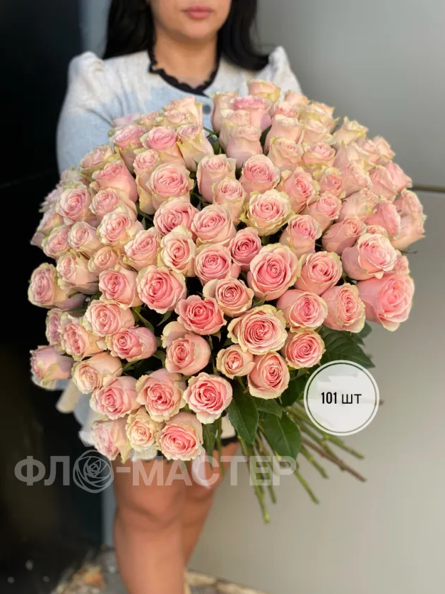 Розовые розы Эквадор 50 см (51шт, 75шт, 101шт)