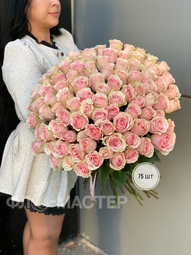 Розовые розы Эквадор 50 см (51шт, 75шт, 101шт)