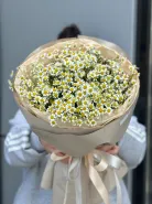 Букет &laquo;Ромашки для любимой&raquo; 0