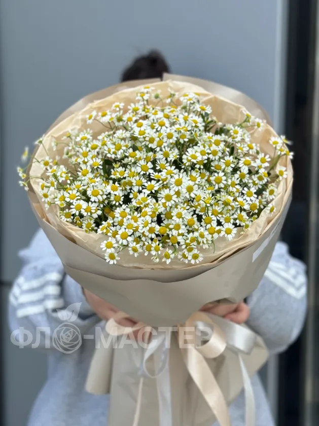 Букет &laquo;Ромашки для любимой&raquo;