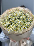 Букет &laquo;Ромашки для любимой&raquo; 1