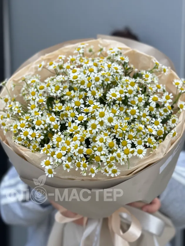 Букет &laquo;Ромашки для любимой&raquo;