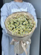 Букет &laquo;Ромашки для любимой&raquo; 2