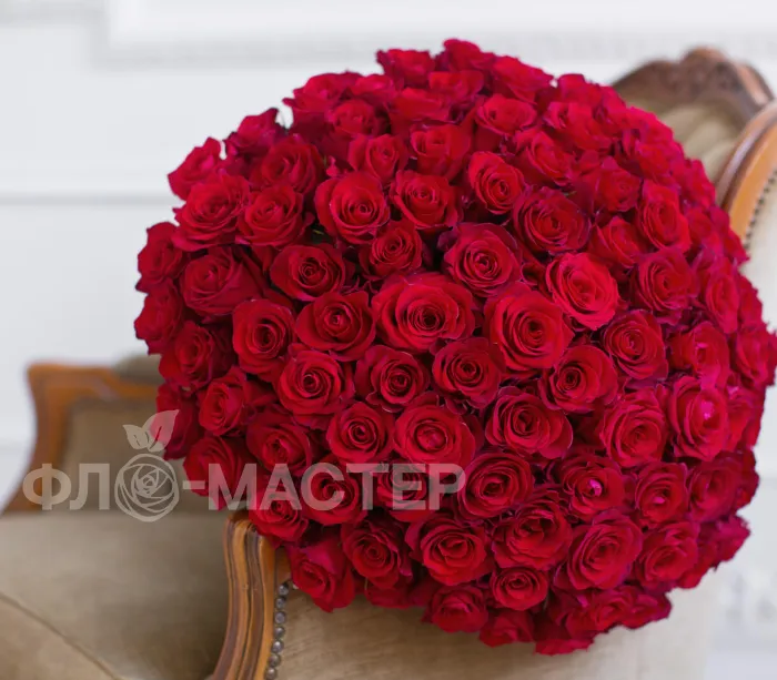 101 красная Эквадорская роза