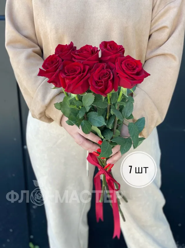Красные розы Эквадор 60 см (1шт, 3шт, 5шт, 7шт, 9шт)