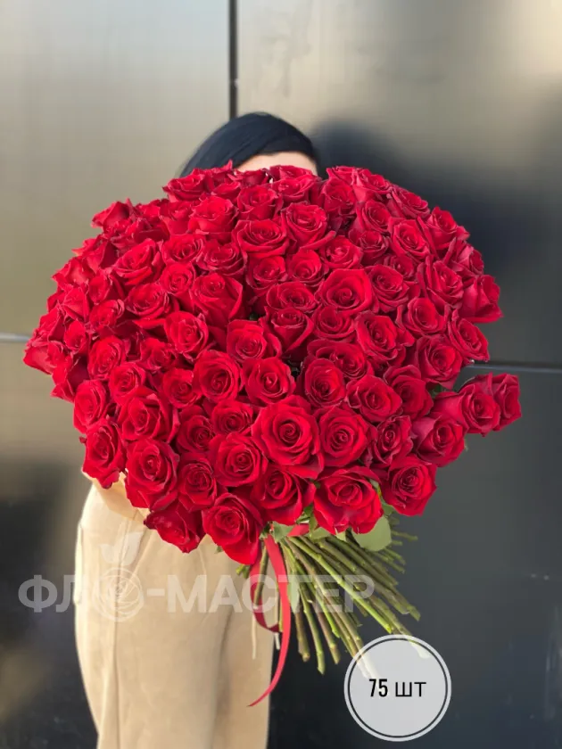 Красные розы Эквадор 60 см (75шт, 101шт)