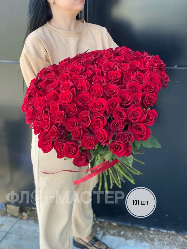 Красные розы Эквадор 60 см (75шт, 101шт)