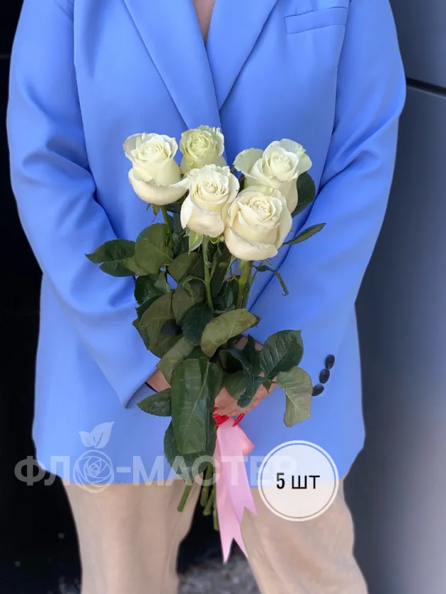 Роза белая Эквадор 50 см (1шт, 3шт, 5шт, 7шт, 9шт)