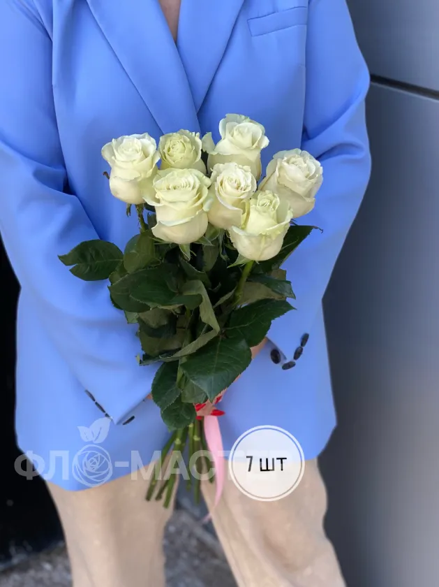 Роза белая Эквадор 50 см (1шт, 3шт, 5шт, 7шт, 9шт)