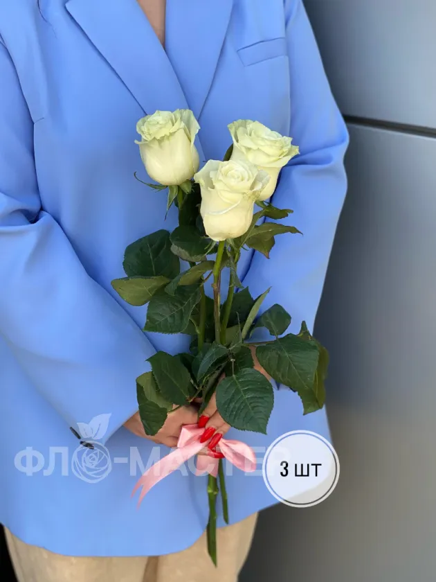 Роза белая Эквадор 50 см (1шт, 3шт, 5шт, 7шт, 9шт)