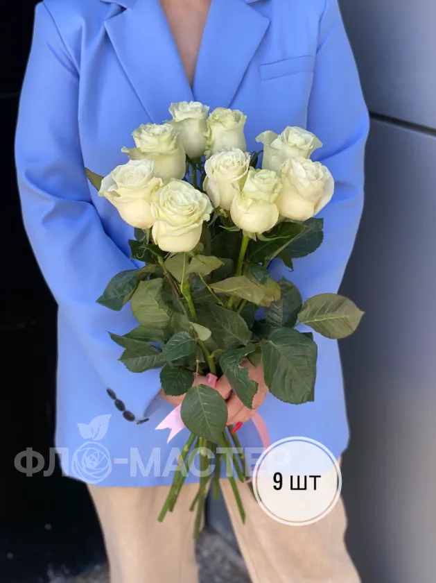 Роза белая Эквадор 50 см (1шт, 3шт, 5шт, 7шт, 9шт)