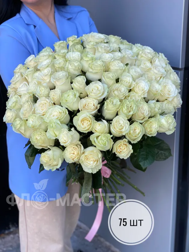Белые розы Эквадор 50 см (51шт, 75шт, 101шт)