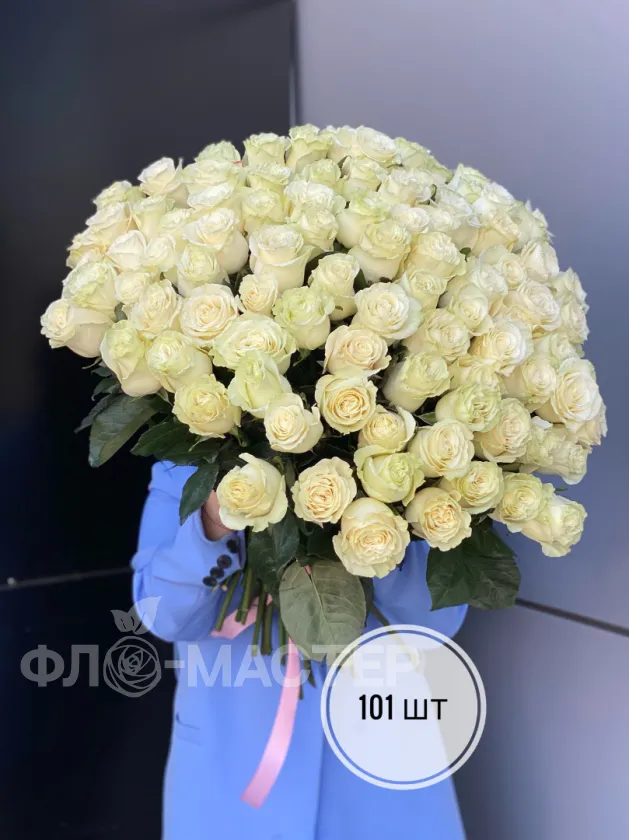 Белые розы Эквадор 50 см (51шт, 75шт, 101шт)