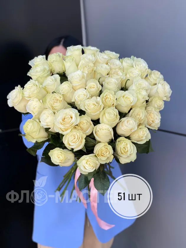 Белые розы Эквадор 50 см (51шт, 75шт, 101шт)