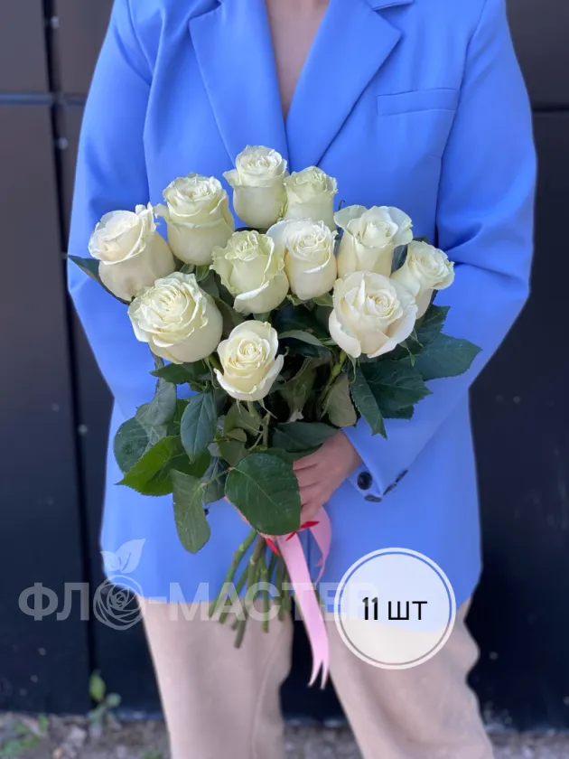 Белые розы Эквадор 60 см (11шт, 15шт, 25шт, 35шт, 45шт)