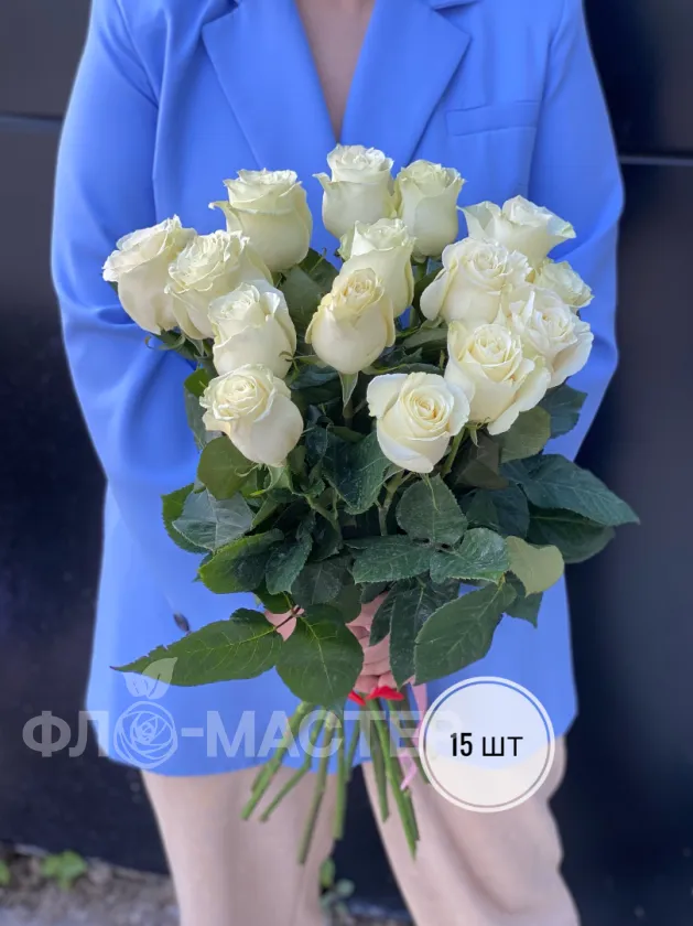 Белые розы Эквадор 60 см (11шт, 15шт, 25шт, 35шт, 45шт)
