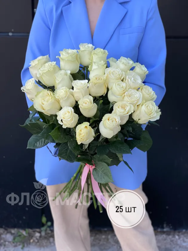 Белые розы Эквадор 60 см (11шт, 15шт, 25шт, 35шт, 45шт)