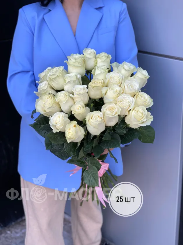 Белые розы Эквадор 50 см (11шт, 15шт, 25шт, 35шт, 45шт)