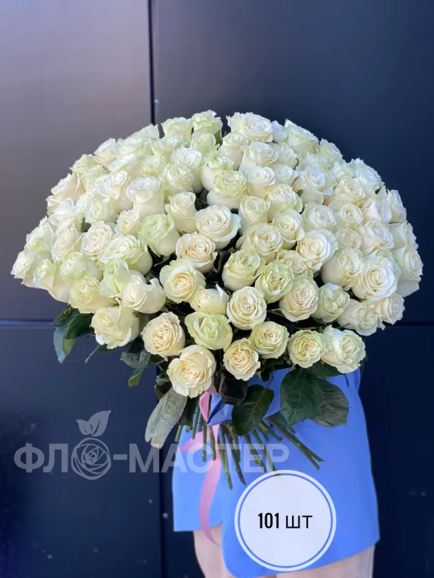 Белые розы Эквадор 60 см (51шт, 75шт, 101шт)