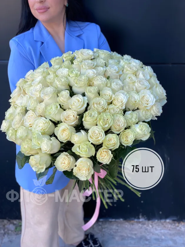 Белые розы Эквадор 60 см (51шт, 75шт, 101шт)