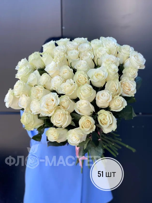 Белые розы Эквадор 60 см (51шт, 75шт, 101шт)