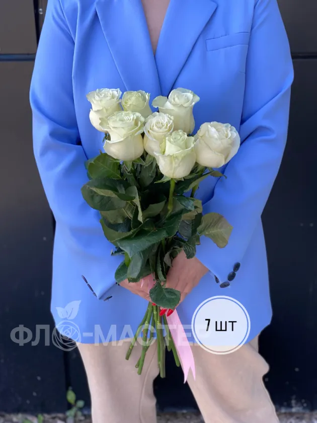 Белая роза Эквадор 60 см (1шт, 3шт, 5шт, 7шт, 9шт)