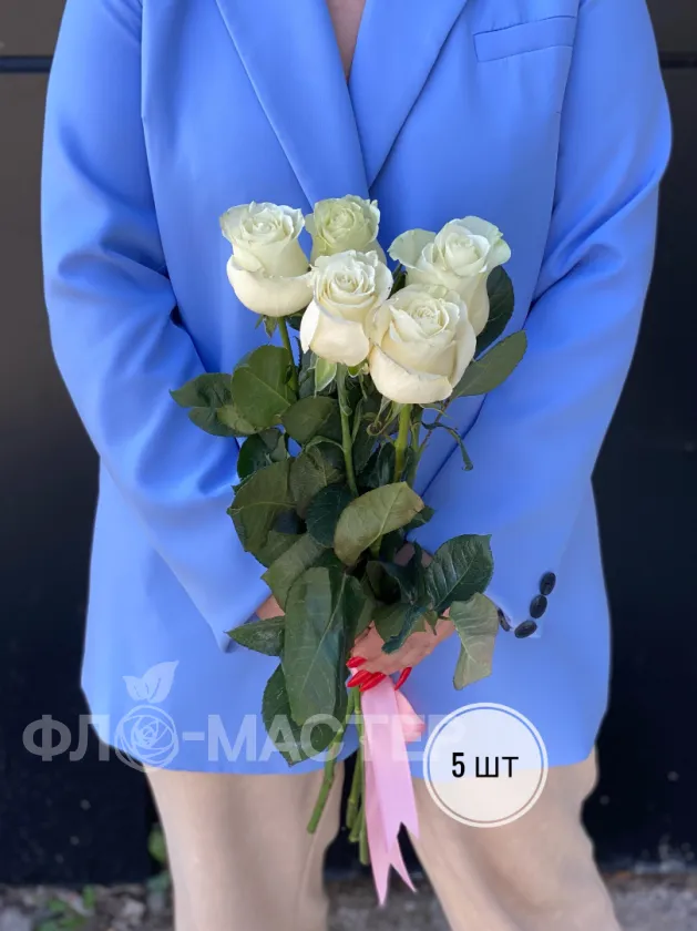 Белая роза Эквадор 60 см (1шт, 3шт, 5шт, 7шт, 9шт)