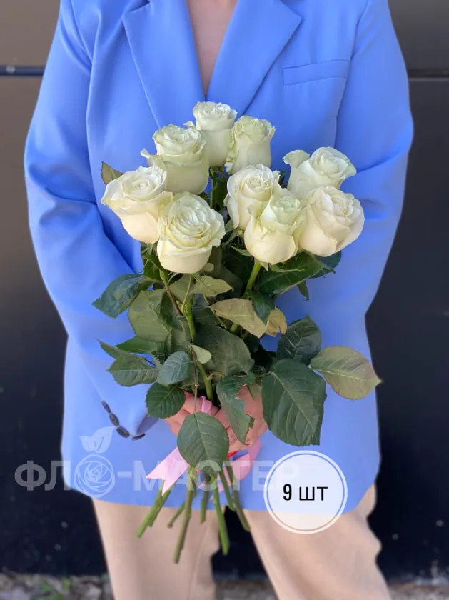 Белая роза Эквадор 60 см (1шт, 3шт, 5шт, 7шт, 9шт)