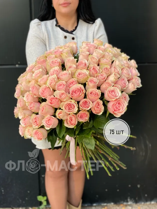 Розовая роза Эквадор 60 см (51шт, 75шт, 101шт)
