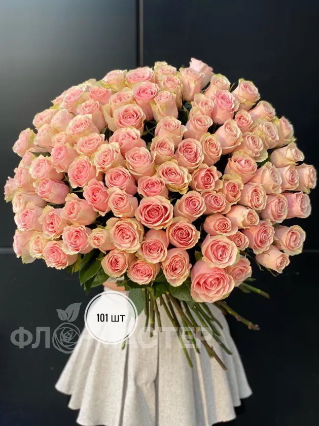 Розовая роза Эквадор 60 см (51шт, 75шт, 101шт)