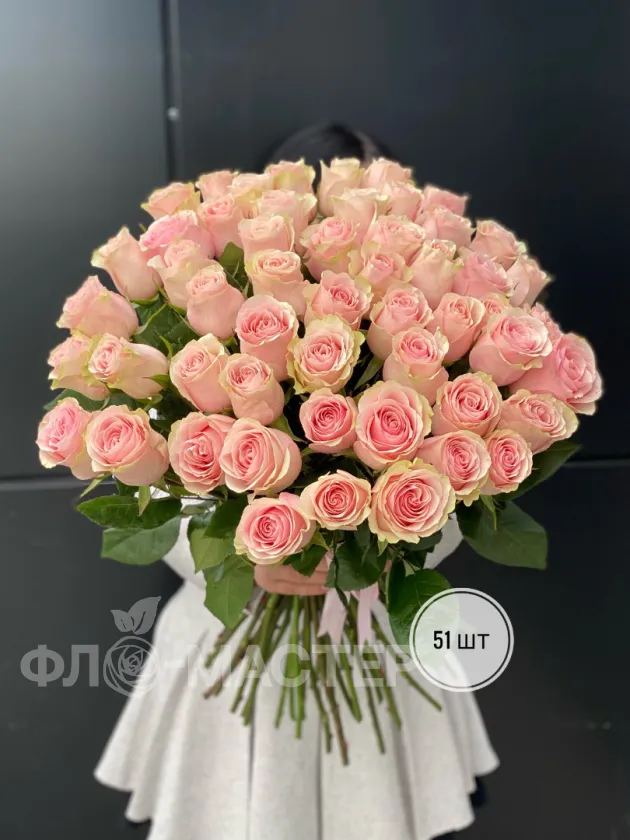 Розовая роза Эквадор 60 см (51шт, 75шт, 101шт)