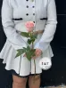 Розовая роза Эквадор 60 см (1шт, 3шт, 5шт, 7шт, 9шт)