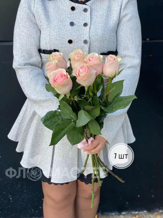 Розовая роза Эквадор 60 см (1шт, 3шт, 5шт, 7шт, 9шт)