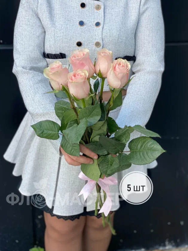 Розовая роза Эквадор 60 см (1шт, 3шт, 5шт, 7шт, 9шт)