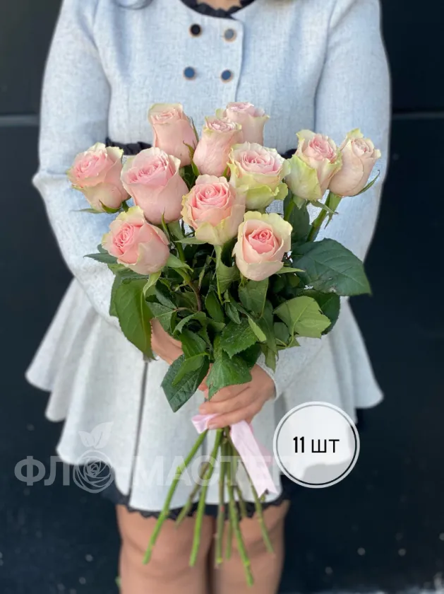 Розовые розы Эквадор 60 см (11шт, 15шт, 25шт, 35шт, 45шт) 