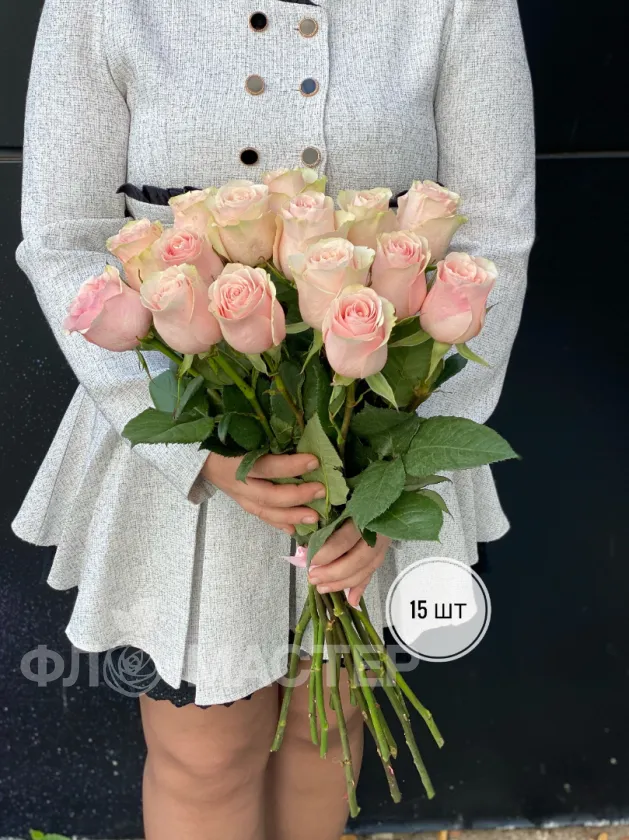 Розовые розы Эквадор 60 см (11шт, 15шт, 25шт, 35шт, 45шт) 