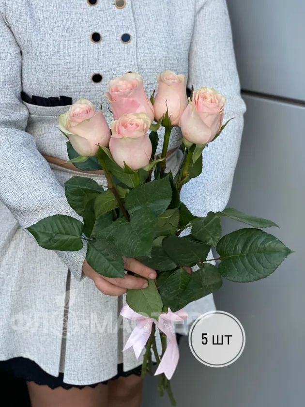Розовые розы Эквадор 50 см (1шт, 3шт, 5шт, 7шт, 9шт)