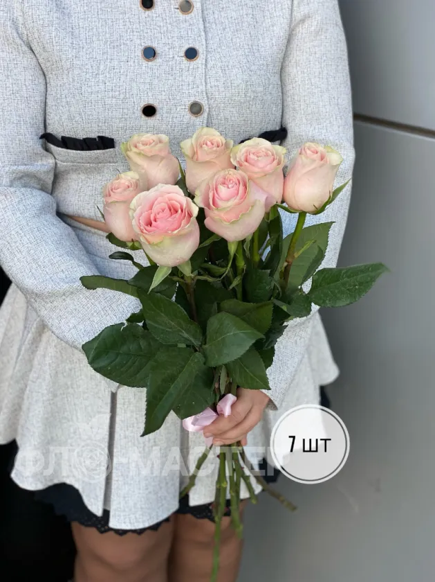 Розовые розы Эквадор 50 см (1шт, 3шт, 5шт, 7шт, 9шт)
