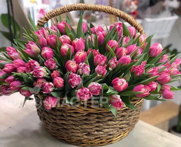 Корзина  &laquo;201 тюльпан&raquo;