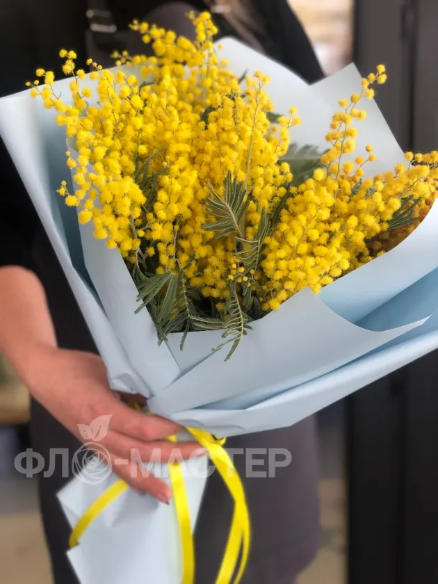 Букет &laquo;Мимоза&raquo;