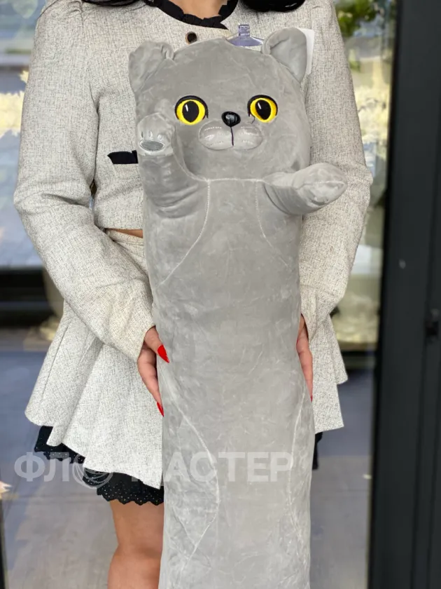 Кот британский