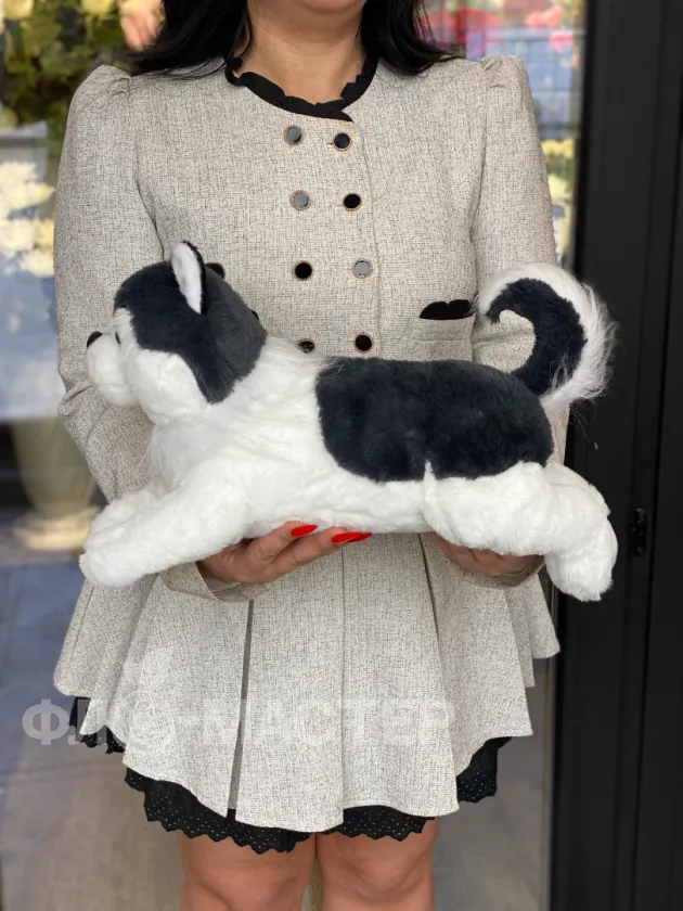 Собака Хаски