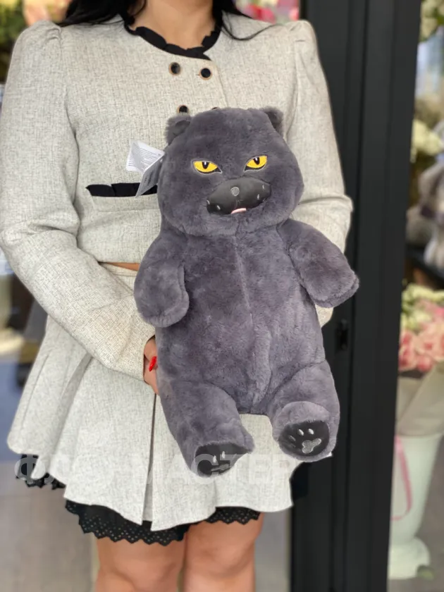 Кот &laquo;Бегемот&raquo;