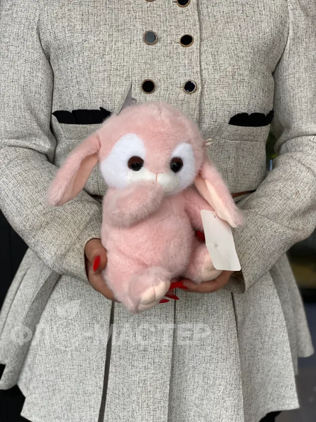 Зайчик Лило