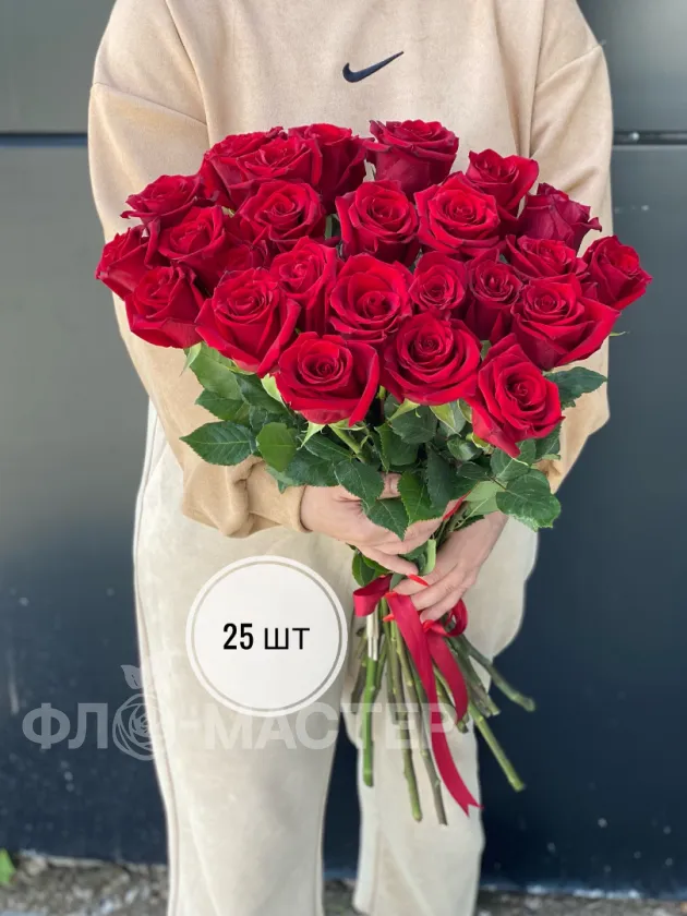 Красные розы Эквадор 60 см (11шт, 15шт, 25шт, 35шт, 51шт)