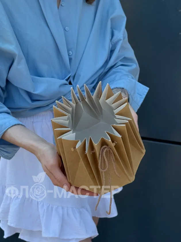 Аквабокс (для транспортировки)