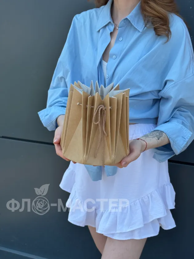 Аквабокс (для транспортировки)