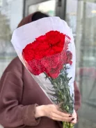 Красная гвоздика 20шт. 0