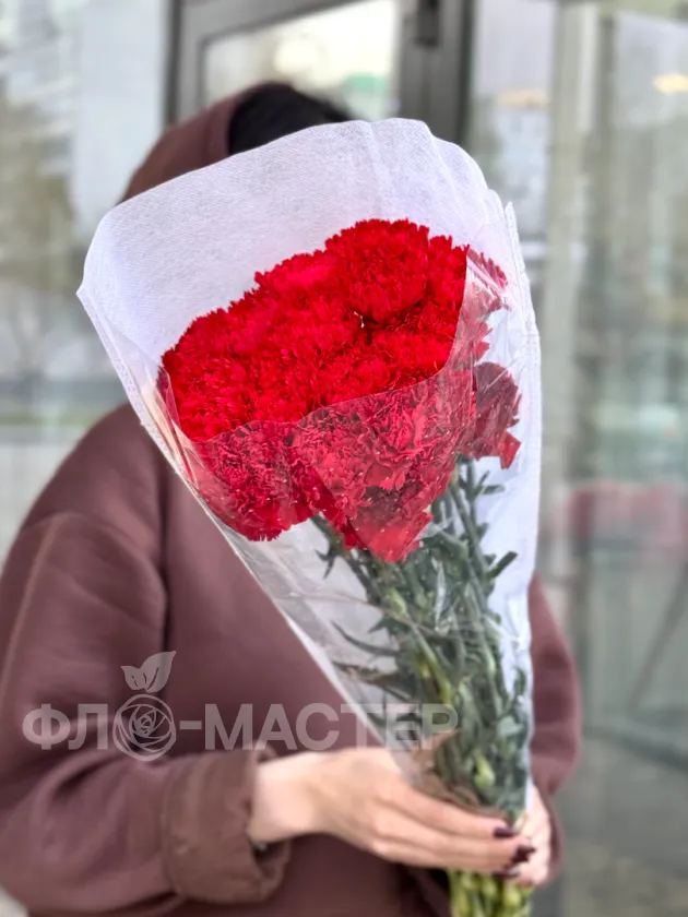 Красная гвоздика 20шт.