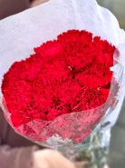 Красная гвоздика 20шт. 1